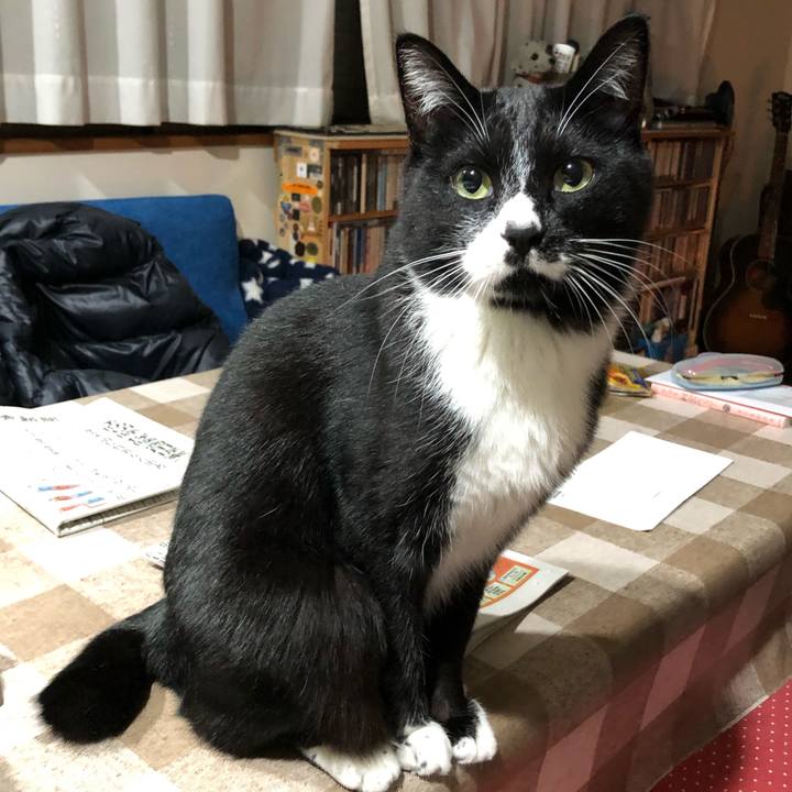 860720bc 7d67 4b10 a530 7ca1d298cbe0 1576757151278