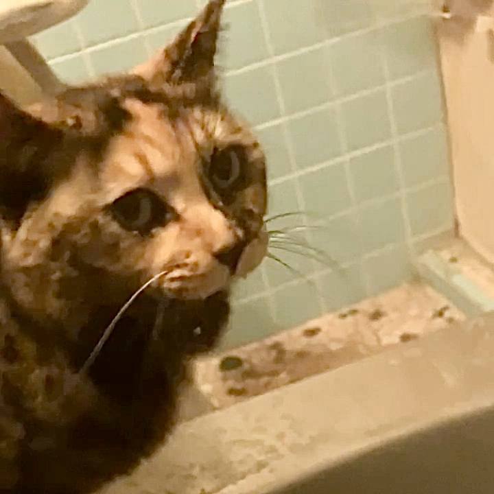 86073032 273d 4a43 8ebe d171e0cfac85 1735499655339