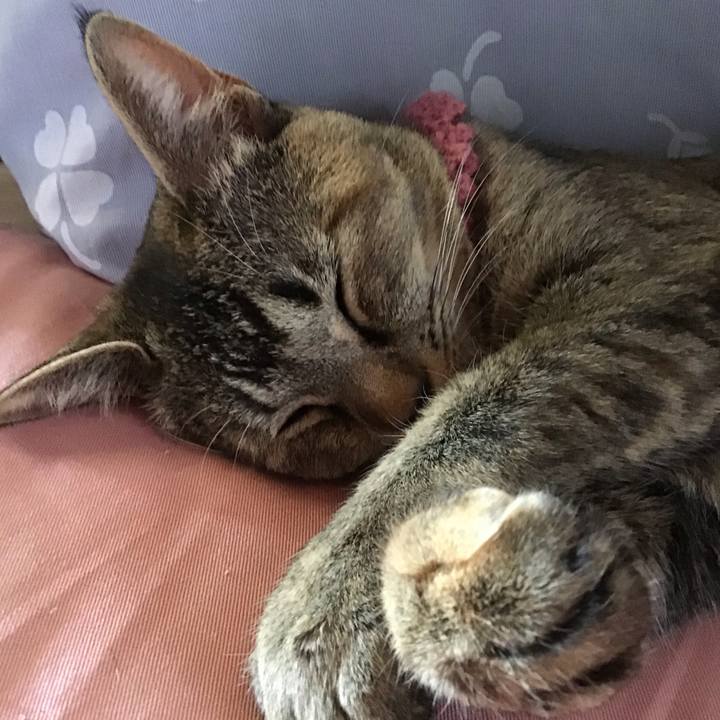 860732e1 641a 4f5b af4a e16119aa433a 1588147576211