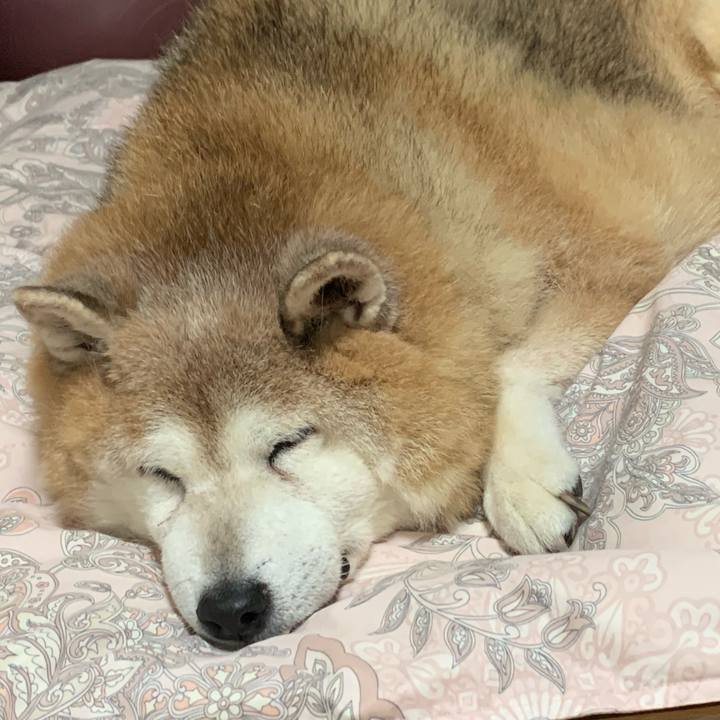 8607555c fcda 46d3 894f c49cbe8580d3 1634566884825