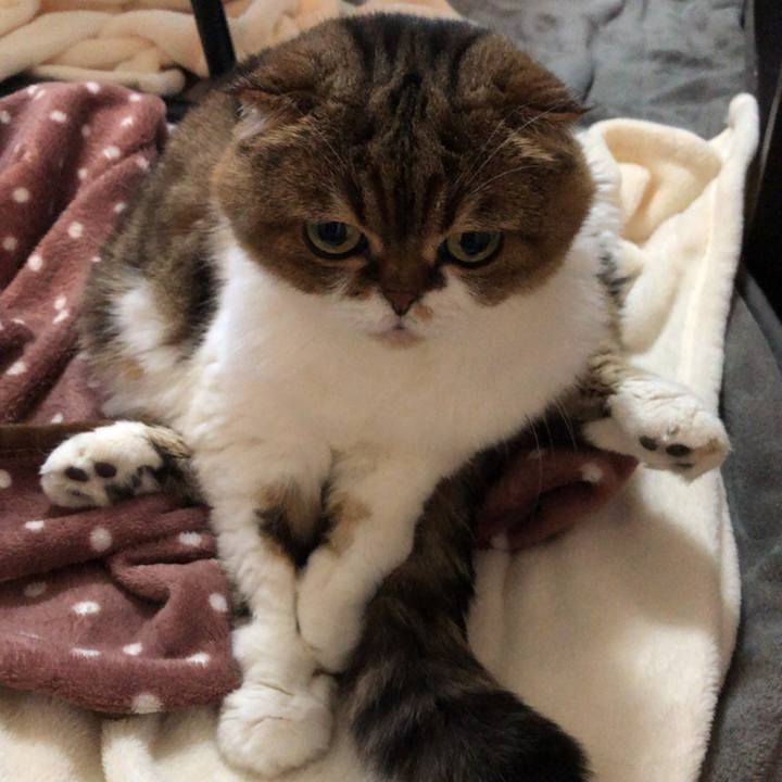 8607f601 04af 45e6 bd2b 6dc21c18e75a 1540192260025