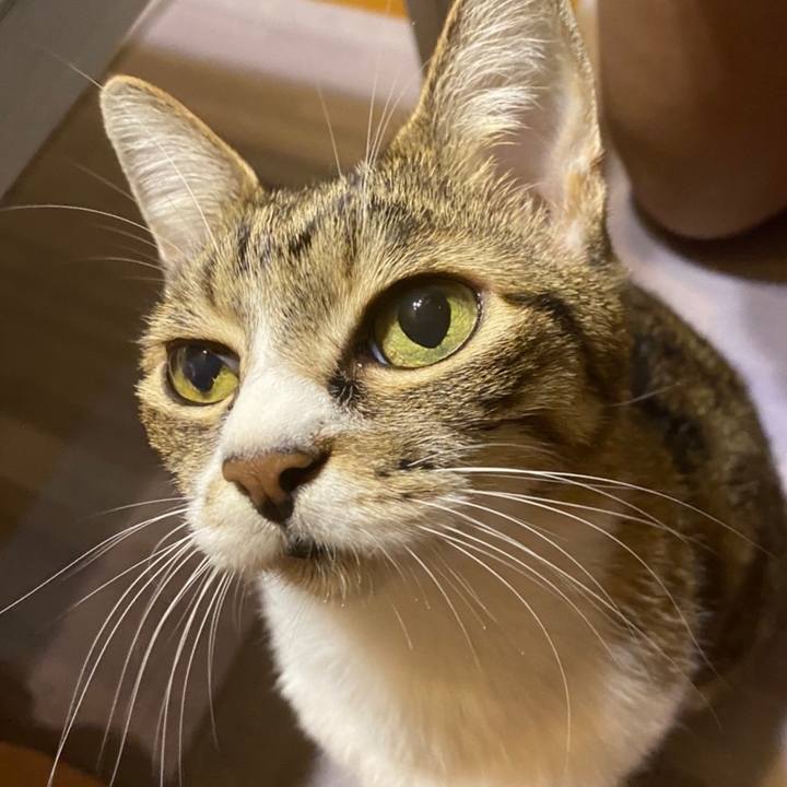 860808aa 7c86 4cc9 aebd d464554e598a 1632358099999