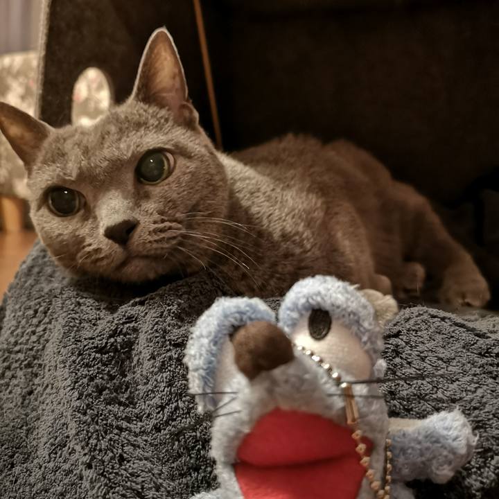 86081fd7 f5c5 41c0 bf7b 6ea9cbca8977 1573046069983