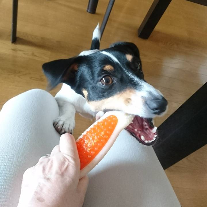 86082f24 439c 4514 a4d4 ebee76a8d01b 1559629292096