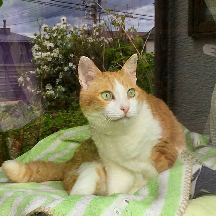 8608487a 1873 4d79 b067 6060b97f6246 1623459009347