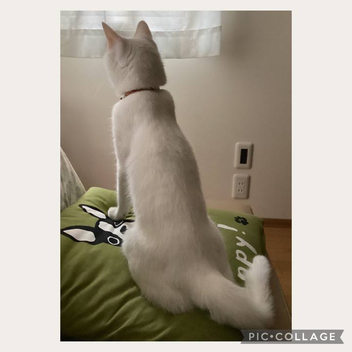 86085944 6085 48d9 8301 6dce230b5ff9 1690859300687