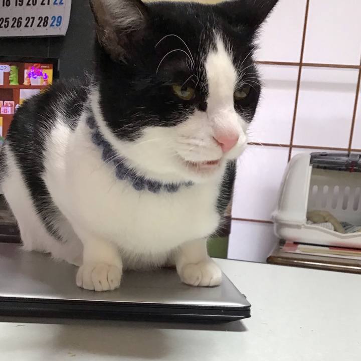 8608641d e31a 4f5f 9711 65b8acaa8816 1643414690673