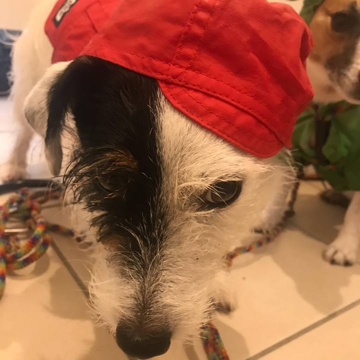 860874d1 565f 4208 9865 3ffebfe91121 1537485679382