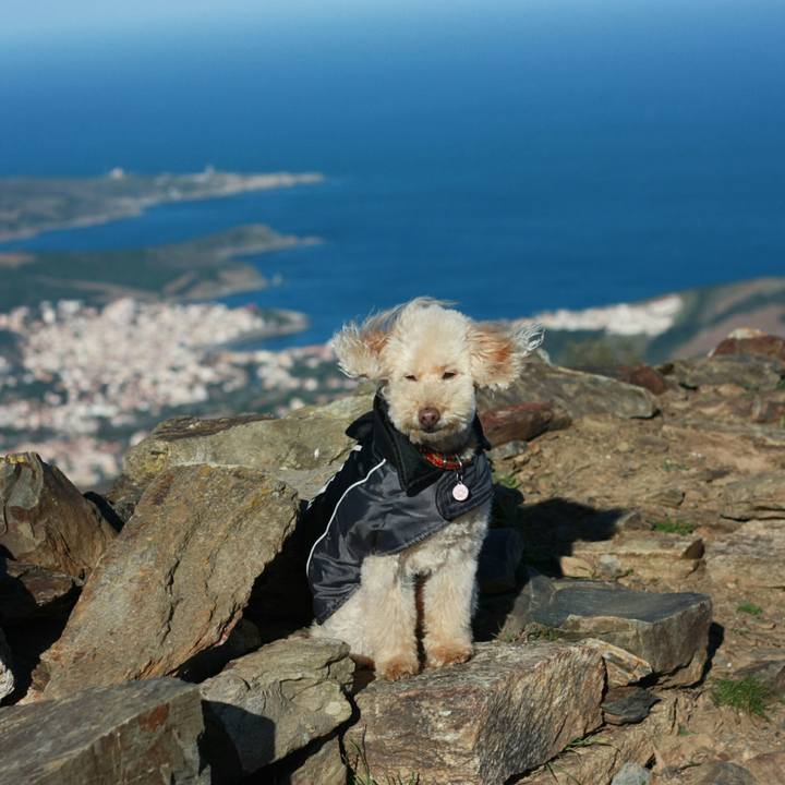 86089cfe 8791 4728 b4af d5d5d185fa4e 1544772680519