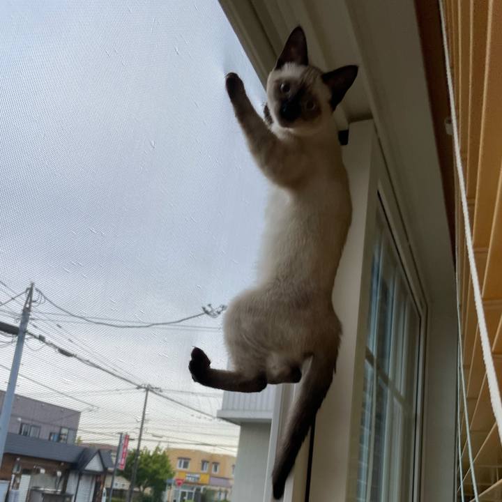 8608be30 b41c 48fc 9758 8b19abacbf06 1692134306269