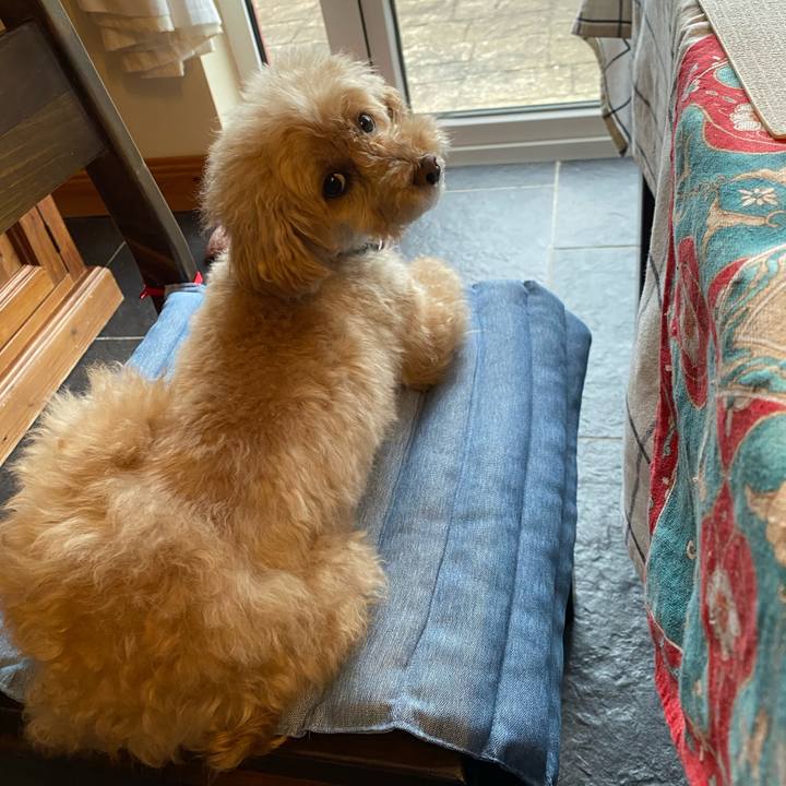 8608dfb3 11c1 4612 a691 a3642b83be42 1651516513655