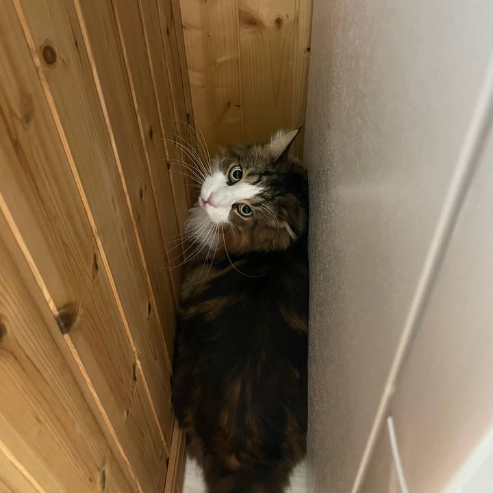 8608e437 5fa5 4886 a080 224eec947db0 1764187732902