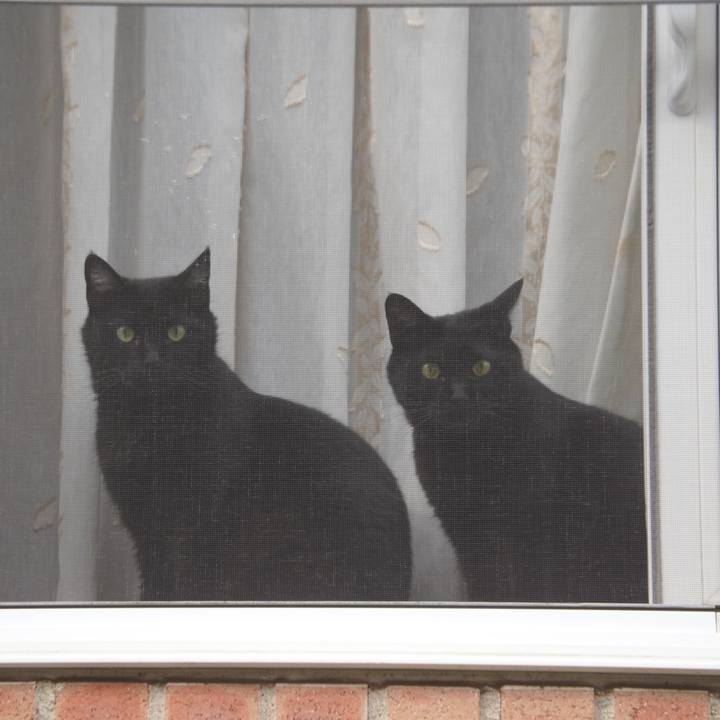 8608ecae d7cf 42c3 ac26 f8a2472e21a8 1655855688950