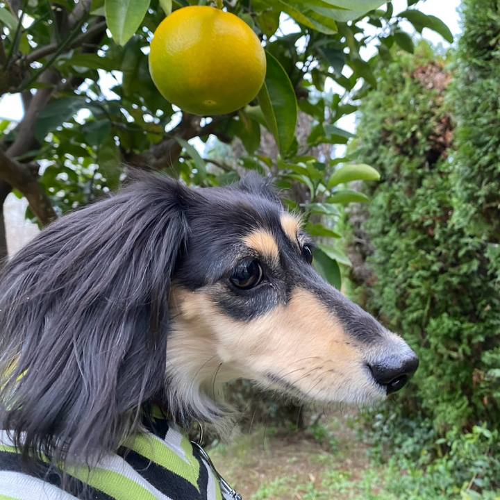 86090c32 c4bd 4031 8906 661510921dec 1764032503664