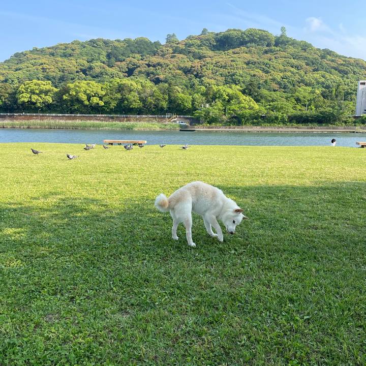 86099439 5cc2 4206 882c cccef5c6740e 1653412790917