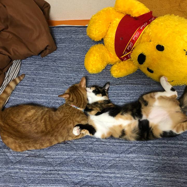 860997a9 76cd 4a52 bd2e 2aed230237b3 1568110782173