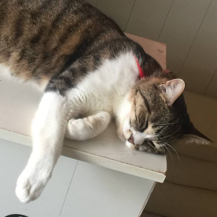 8609a528 84ee 4fda b3f8 5c01606dbb4c 1567226333911