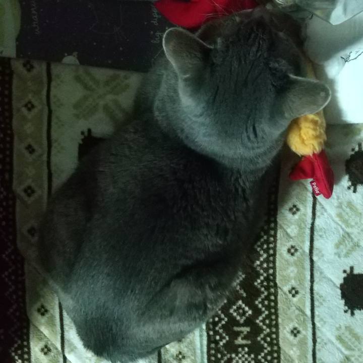 8609c489 2166 4cde acc3 77717fc2d5a9 1681249398729