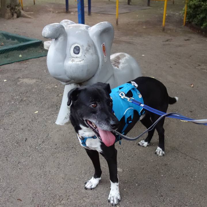 8609cb2a ef55 4fdb 90f3 8f82f2ef8270 1688467390850