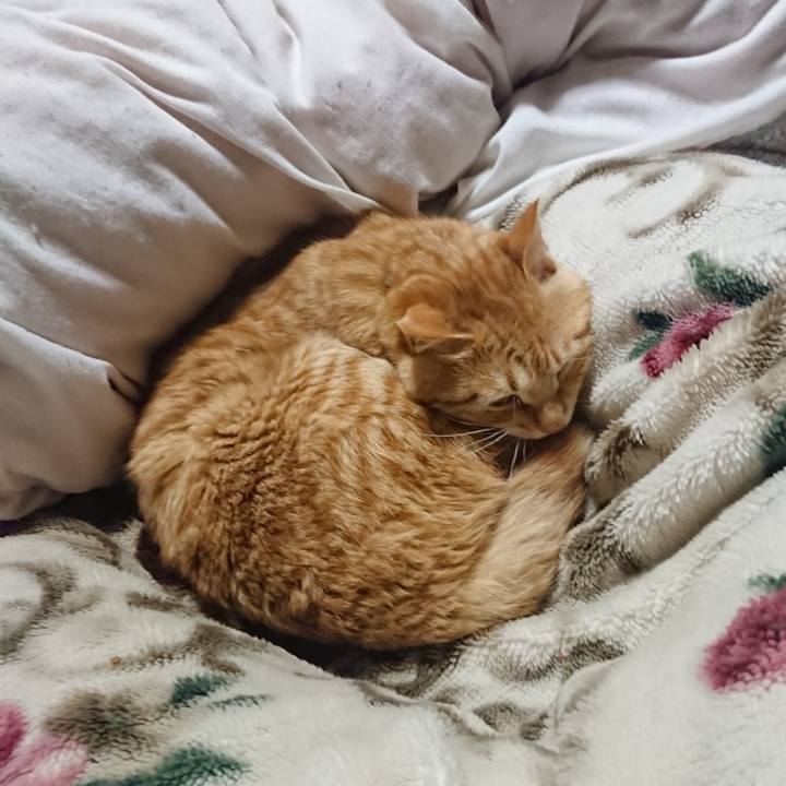 8609eeaf ec5f 4715 9f10 904fd0d517f6 1647002548057