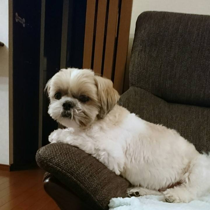 860a16d6 add7 478f b22e e0dcdf37be61 1541542538874