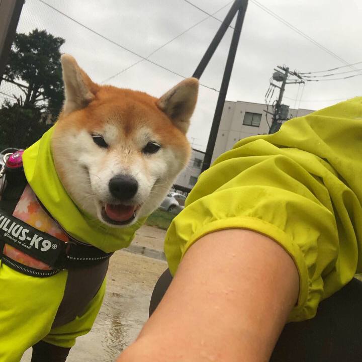 860a31d0 b93d 443c 9d4d cbc003c3f3c7 1565263350597