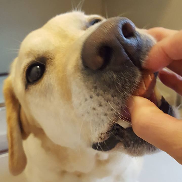 860a4cef b314 43fb a084 99a07041de2b 1564457201736