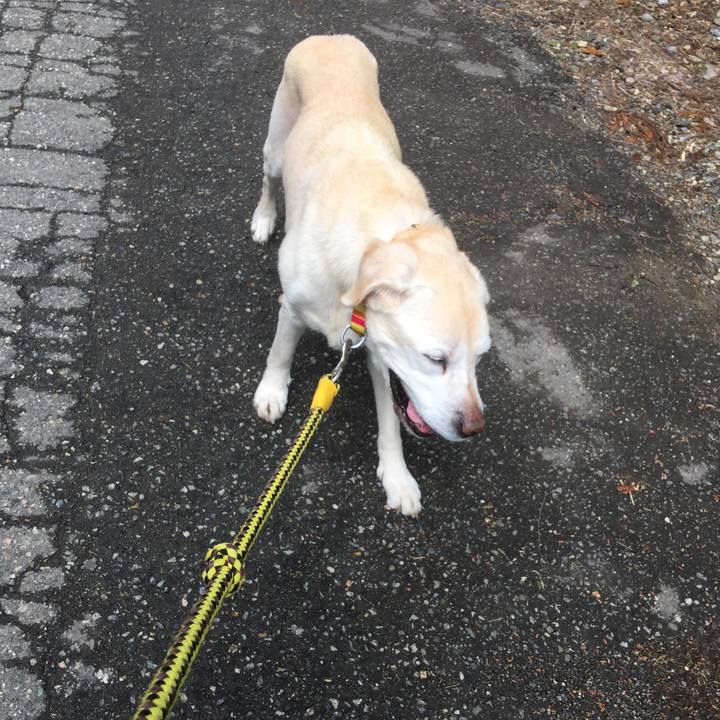 860aaab6 3643 4eb1 a5bb 89aff68339f5 1523773385286