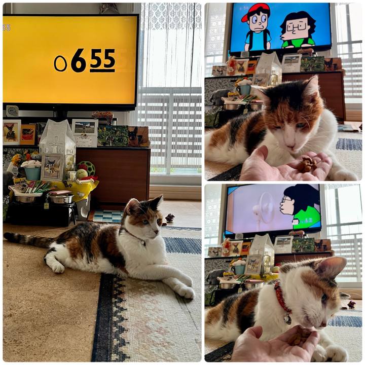 860aaf27 2a9d 4fe1 ad3a 0330d941d605 1692310654685