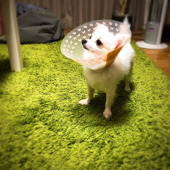 860b1571 c393 4635 ba67 c04dff4e570f 1542125959452