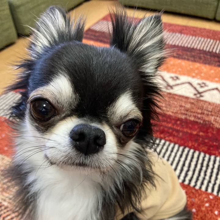 860b1ac1 6142 4b31 bdf8 af25ac2f1a50 1679411101435