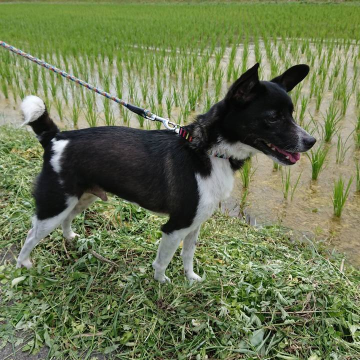 860b254f be26 4844 a356 90c78a12a2e3 1560653260890