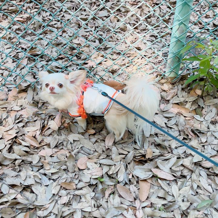 860b44fc 86e0 4317 8ae7 580b32af7a41 1714282762337