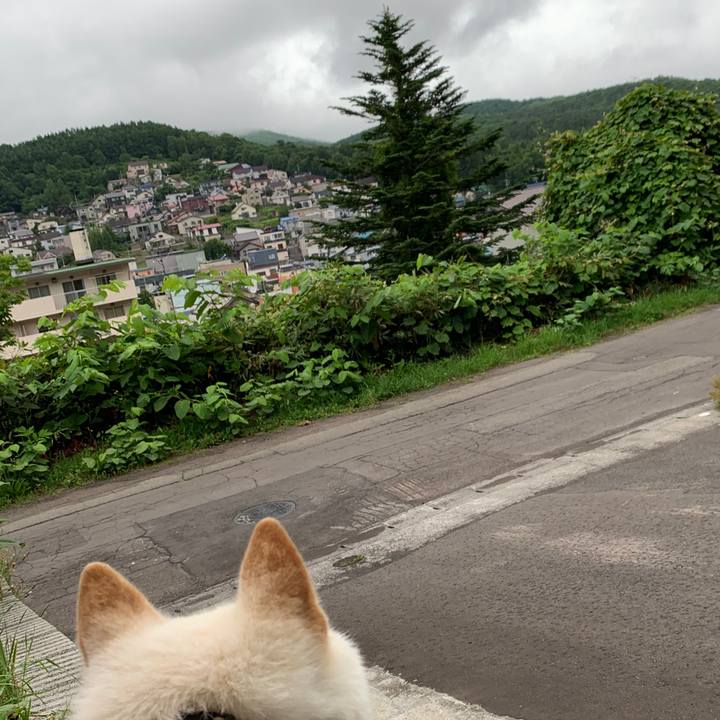 860b56d6 f132 42e5 ab49 2050008bc6c0 1562111918674