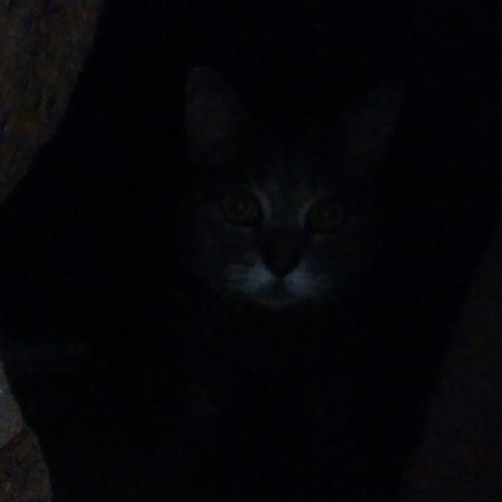 860b7b89 1627 4390 b816 63d4dcff1395 1531737543975