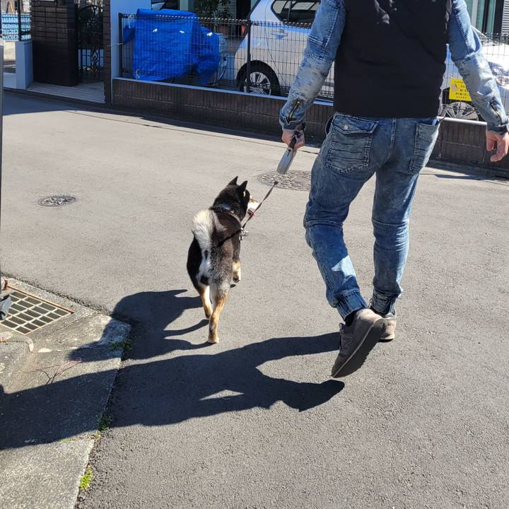 860b80b6 4ae6 47c5 ace7 cd7c7e3523ea 1773538711390