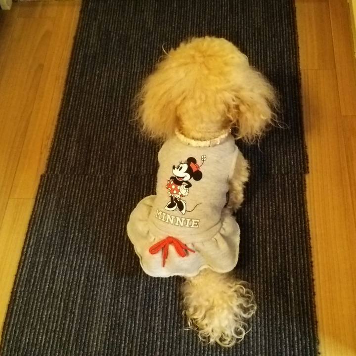 860b8a13 ee6d 41a6 8ead 73cafa8f4539 1529108951923