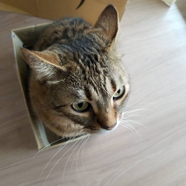 860b9599 2bd5 438b abd4 0c68888f6a1a 1586985636992