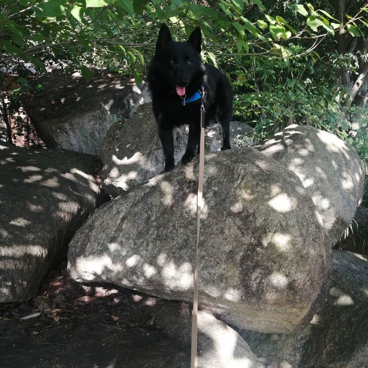 860be902 e35e 498d 915f a97188c3aba4 1632524941111