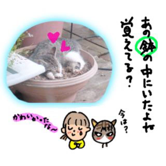 860c30e1 0cea 4b98 b1ca c832bcb083bc 1775914439250