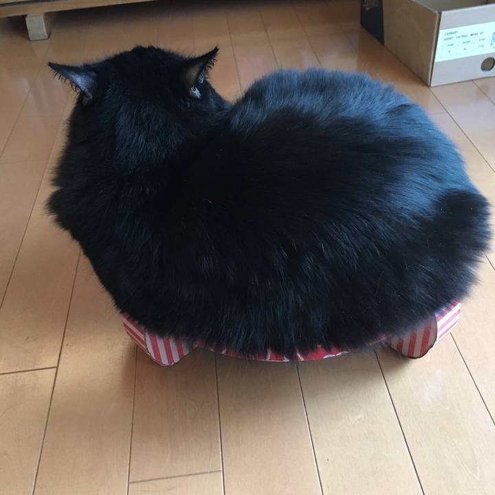 860c6b9b 5253 42d1 aa27 c6118844720d 1569073437629