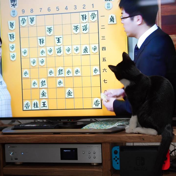 860c7789 b4b1 4b0f b519 d81f6ddaa079 1581862997127