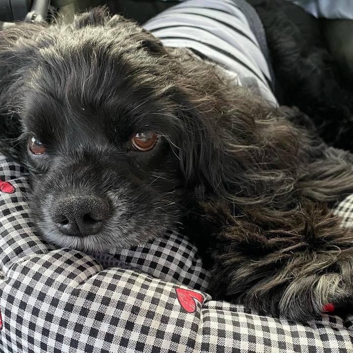 860c8397 4adc 444a 8f20 4c3cfa3b6022 1666526671027