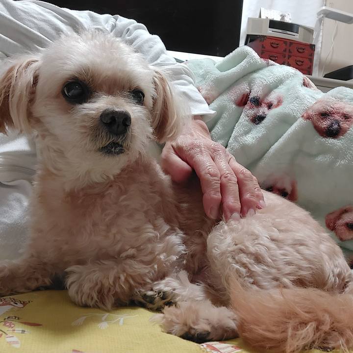 860c9c3e 00fe 486c a43b ad56f892f310 1761021412882