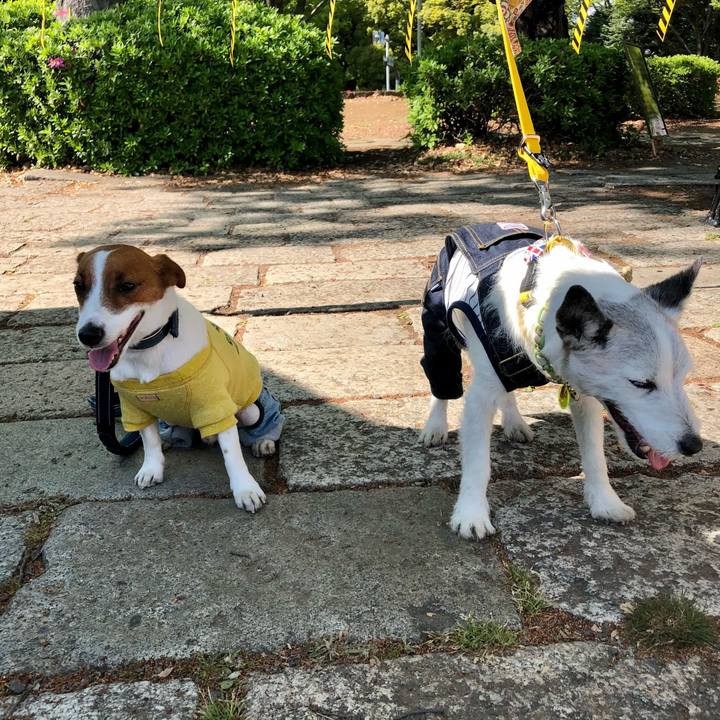 860cbc67 bd5f 4823 a867 22505ec6c014 1652359936644