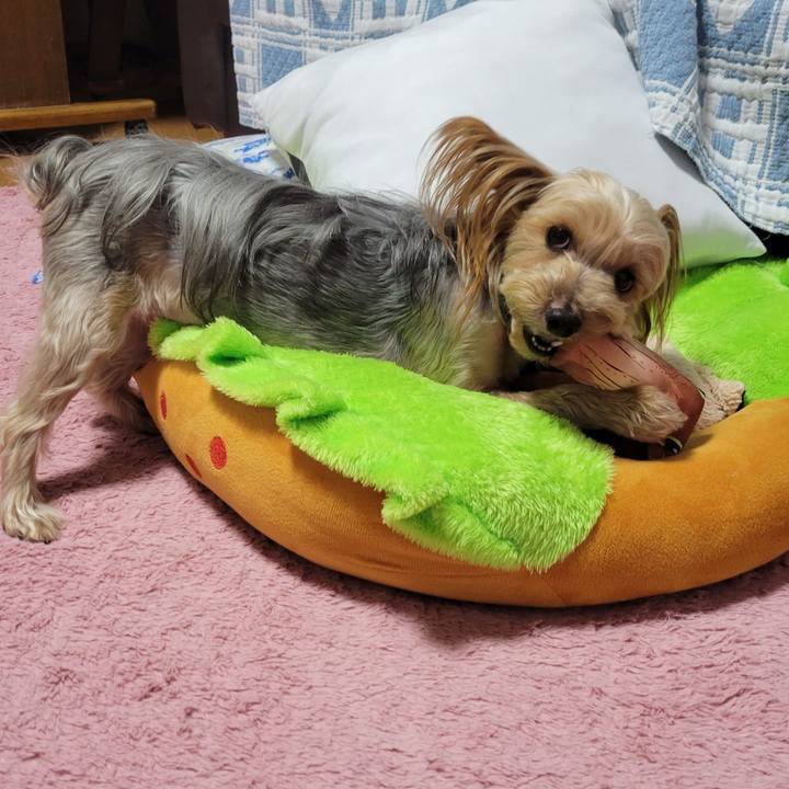 860cbdde 50c6 44d7 a874 5ac81ebd7250 1644139098237