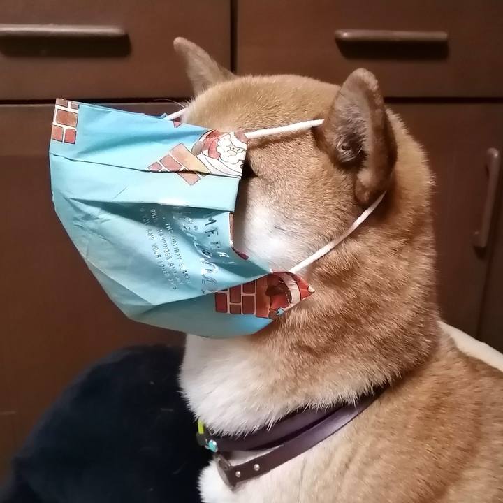 860d0108 2d65 4437 abe0 4492ca76dad8 1582453957112