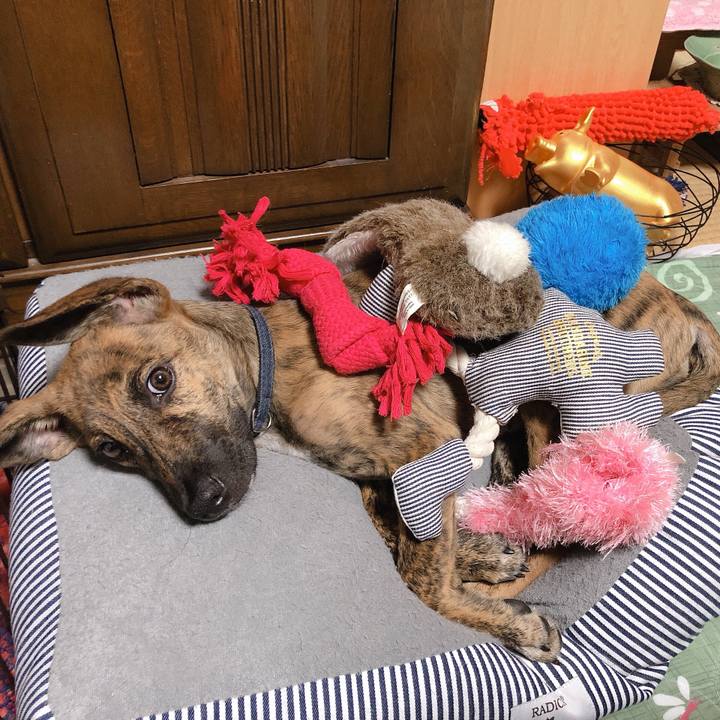 860d47b1 c5f9 4fdc 90e1 beee717005c5 1570337935481