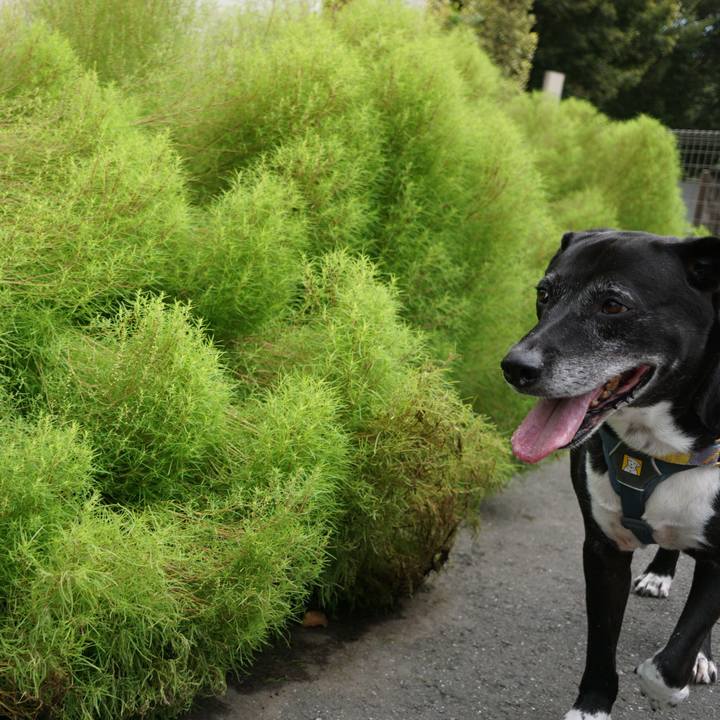 860df080 a74b 4497 af12 c312d9b9fd9f 1757808583083