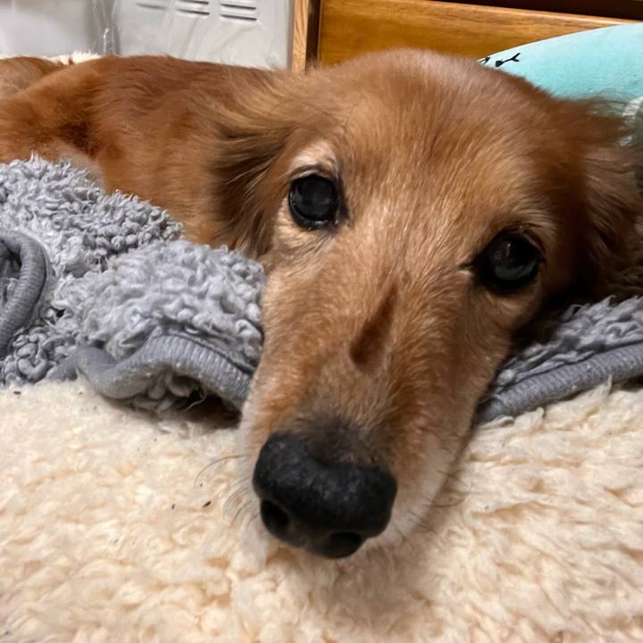 860e06e7 91ac 4776 9ef4 ac0fdc49c180 1650109945624